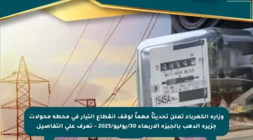 وزارة الكهرباء تعلن تحديثاً مهماً لوقف انقطاع التيار في محطة محولات جزيرة الدهب بالجيزة الأربعاء 30/يوليو/2025 – تعرف على التفاصيل